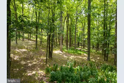 55 & 56 Sarah Lincoln Dr., New Creek, WV 26743 - Photo 8