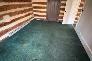 3673 Johnson Run Rd, Petersburg, WV 26847 - Photo 42