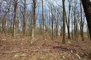 126 Dahlia Ln, Mount Storm, WV 26739 - Photo 24