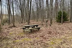 126 Dahlia Ln, Mount Storm, WV 26739 - Photo 34