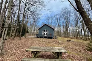 126 Dahlia Ln, Mount Storm, WV 26739 - Photo 36
