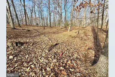 Snickerdoodle Lane, Lahmansville, WV 26731 - Photo 12
