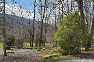 55 Fairfax Corner Rd, Cabins, WV 26855 - Photo 20