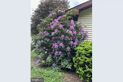 55 Fairfax Corner Road, Cabins, WV 26855 - Photo 76