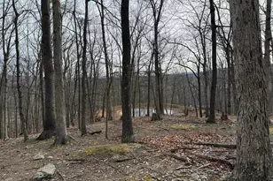 55 Fairfax Corner Rd, Cabins, WV 26855 - Photo 88