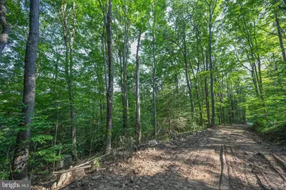 Tbd Route 50, Gormania, WV 26720 - Photo 20