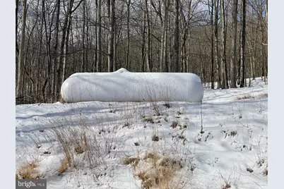 4645 Lower Knobley Road, Maysville, WV 26833 - Photo 48