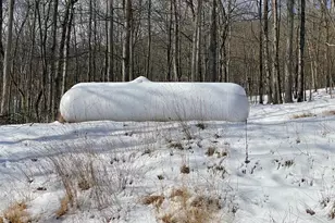 4645 Lower Knobley Rd, Maysville, WV 26833 - Photo 48