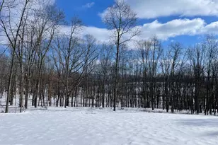 4645 Lower Knobley Rd, Maysville, WV 26833 - Photo 16