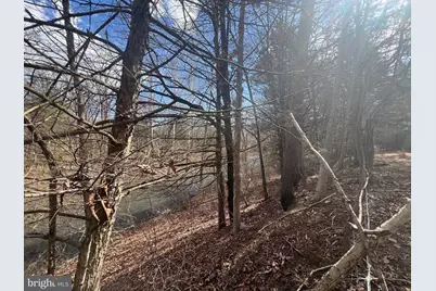 130 Patterson Creek Hwy, Lahmansville, WV 26731 - Photo 42