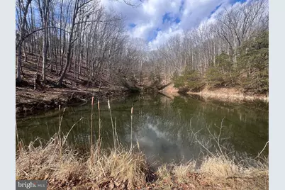 130 Patterson Creek Hwy, Lahmansville, WV 26731 - Photo 20