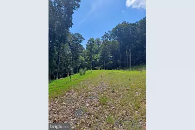 1079 Little Mountain, Cabins, WV 26855 - Photo 48