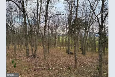 401 Nighthawk Drive, Petersburg, WV 26847 - Photo 14