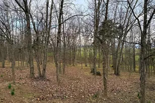 401 Nighthawk Dr, Petersburg, WV 26847 - Photo 14