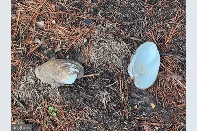 130 Patterson Creek Hwy, Lahmansville, WV 26731 - Photo 88