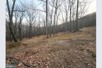 Lot 5 Preserve Road, Maysville, WV 26833 - Photo 10