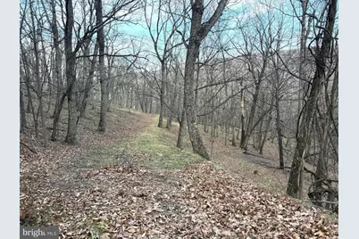 Lot 5 Preserve Road, Maysville, WV 26833 - Photo 2