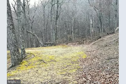 Lot 5 Preserve Road, Maysville, WV 26833 - Photo 6