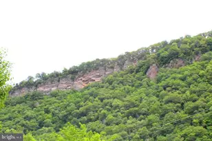 107 Trout Ln, Cabins, WV 26855 - Photo 26