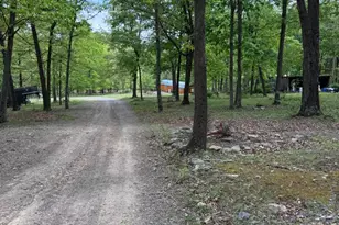 155 Foxdale Ln, Maysville, WV 26833 - Photo 48
