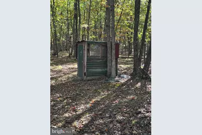 781 Dunmore Road, Petersburg, WV 26847 - Photo 12