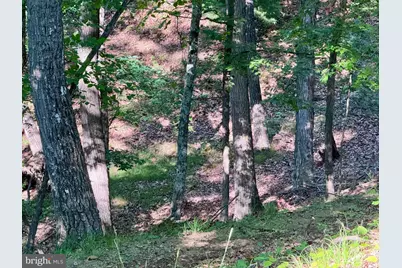 326 Tweed Lane, Petersburg, WV 26847 - Photo 14