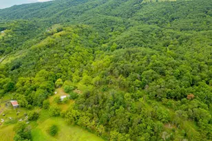 476 Schrader Ln, Petersburg, WV 26847 - Photo 54