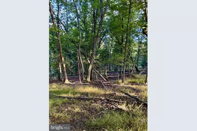 1560 S Mill Creek Road, Petersburg, WV 26847 - Photo 16