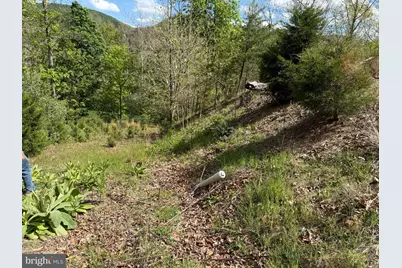 500 Maryvale Lane #(46+ ACS), Petersburg, WV 26847 - Photo 76