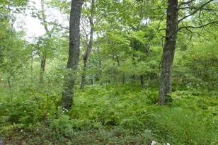 Lot 18 Top Of The Mountain Rd, Moorefield, WV 26836 - Photo 1