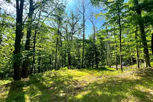 Tr #13 Sec #14 High Knob Rd, Old Fields, WV 26845 - Photo 24