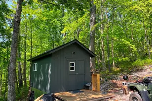 Tr #13 Sec #14 High Knob Rd, Old Fields, WV 26845 - Photo 1