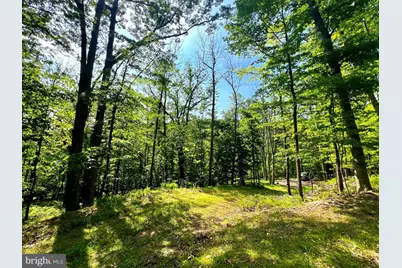 Tr #13 Sec #14 High Knob Road, Old Fields, WV 26845 - Photo 26