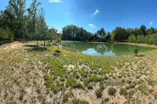 362 Oak Hill Rd, Moorefield, WV 26836 - Photo 6