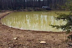 362 Oak Hill Rd, Moorefield, WV 26836 - Photo 66