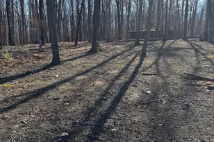 362 Oak Hill Rd, Moorefield, WV 26836 - Photo 96