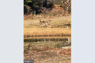 362 Oak Hill Road, Moorefield, WV 26836 - Photo 38