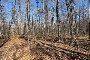 362 Oak Hill Rd, Moorefield, WV 26836 - Photo 132