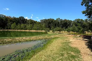 362 Oak Hill Rd, Moorefield, WV 26836 - Photo 14