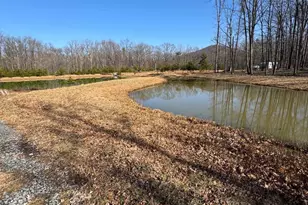 362 Oak Hill Rd, Moorefield, WV 26836 - Photo 126