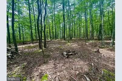 5620 High Knob Loop, Old Fields, WV 26845 - Photo 6