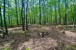 5620 High Knob Loop, Old Fields, WV 26845 - Photo 6