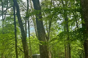 5620 High Knob Loop, Old Fields, WV 26845 - Photo 26