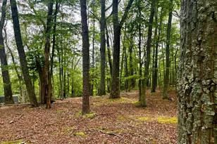 5620 High Knob Loop, Old Fields, WV 26845 - Photo 28