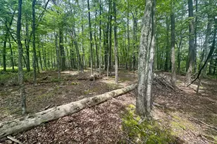 5620 High Knob Loop, Old Fields, WV 26845 - Photo 4