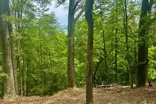 5620 High Knob Loop, Old Fields, WV 26845 - Photo 24