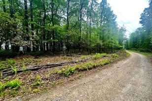 5620 High Knob Loop, Old Fields, WV 26845 - Photo 34