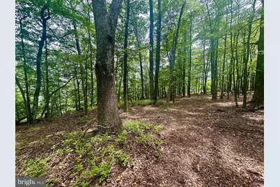 5620 High Knob Loop, Old Fields, WV 26845 - Photo 10