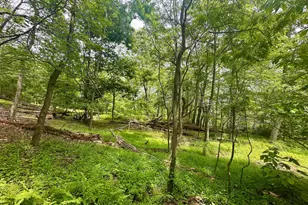 5620 High Knob Loop, Old Fields, WV 26845 - Photo 22