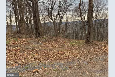 Lot 1 Toms Knob Approach, Lost River, WV 26810 - Photo 12